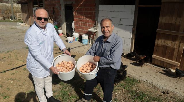 Kocaeli’de yüzde 50 hibeli tavuk desteği üreticilerin yüzünü güldürdü