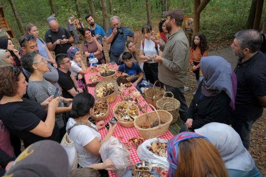 Ormanya’da mantar avı düzenlendi