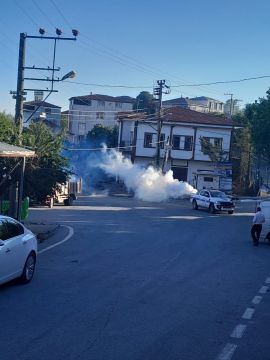 Dilovası'nda ilaçlama çalışmaları başlatıldı