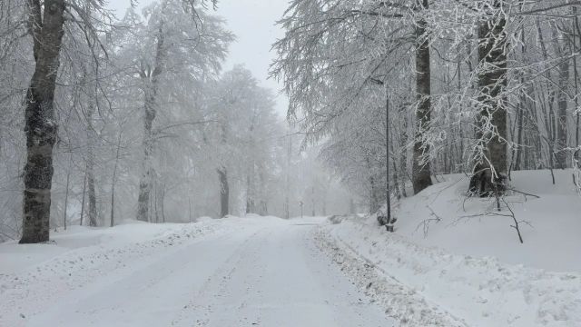 Yüksek kesimlerde kar yağışı sürüyor