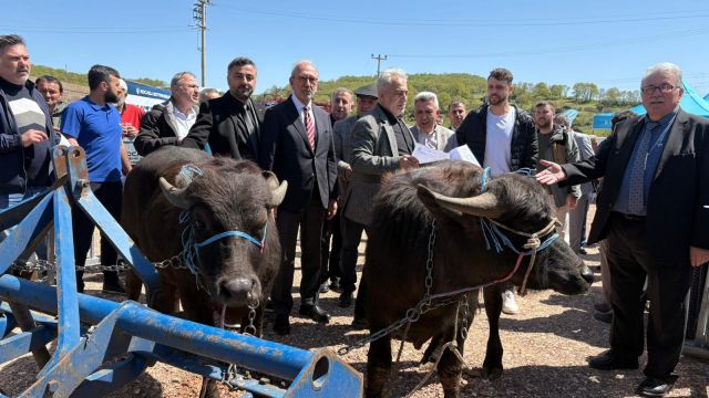Kocaeli’de hayvancılık, Büyükşehir’le daha kolay