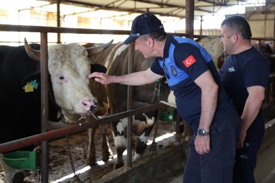 Kartepe’de Kurban Denetimleri